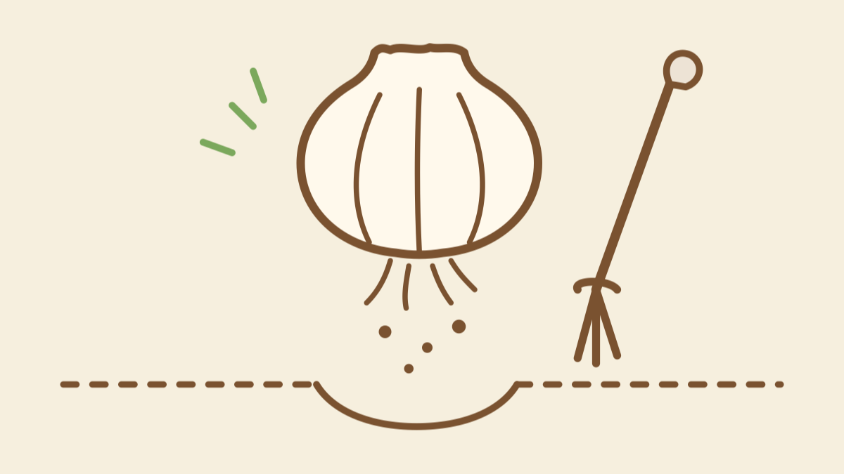 Hand-drawn illustration of a freshly lifted elephant garlic bulb with roots and falling soil, garden fork behind