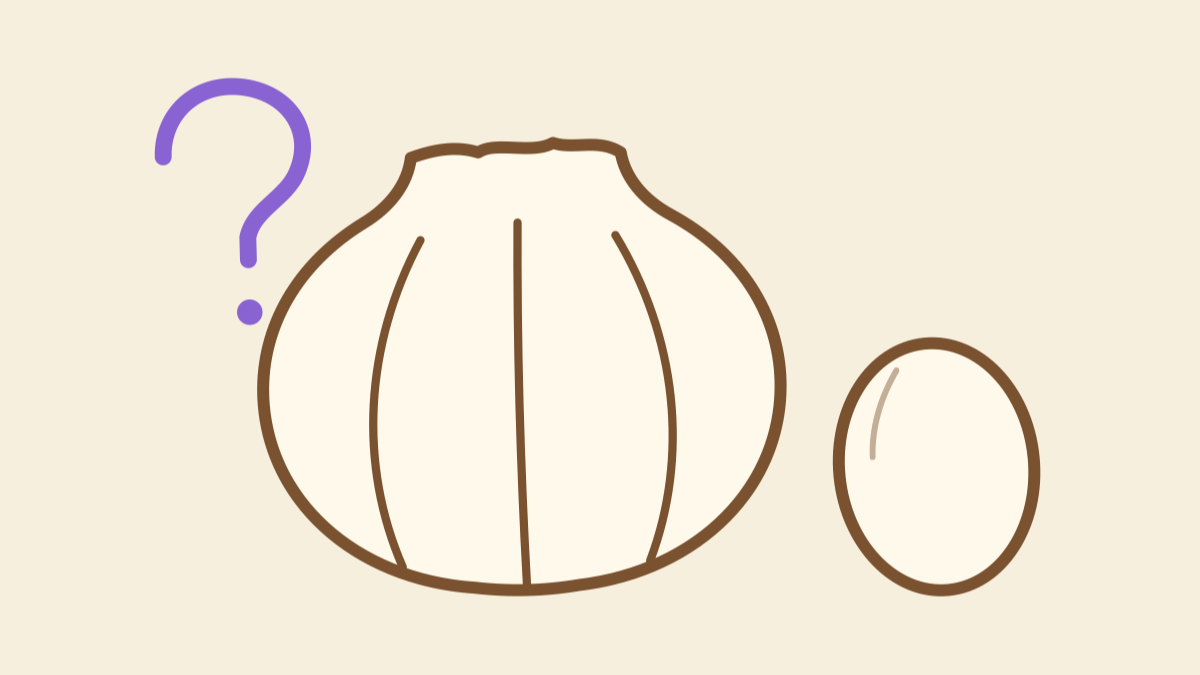 Hand-drawn illustration of a giant elephant garlic bulb beside a hen's egg, with a question mark