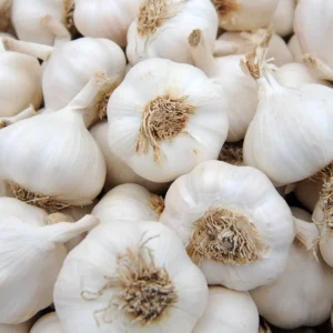 Organic White Elephantic Garlic